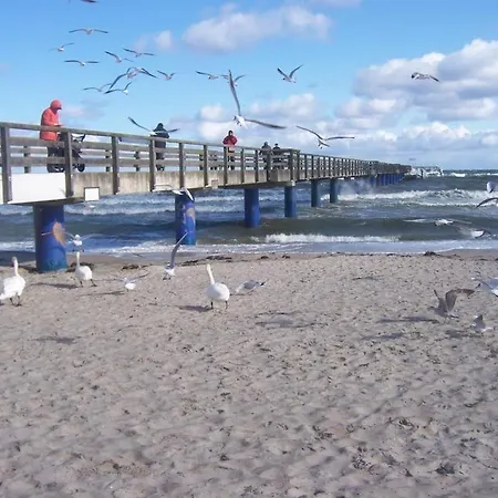 Urlauberdorf 61d * Boltenhagen (Ostseebad)